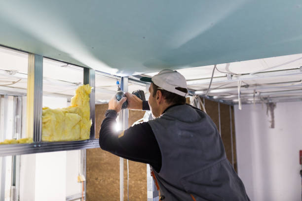 Best DIY Insulation Kits and Guidance in Central City, IL