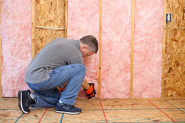 Best Blown-in Insulation in Central City, IL