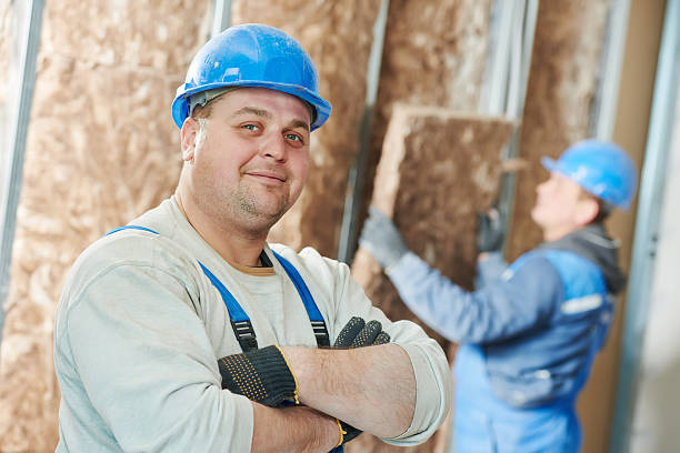 Best Eco-Friendly Insulation in Central City, IL
