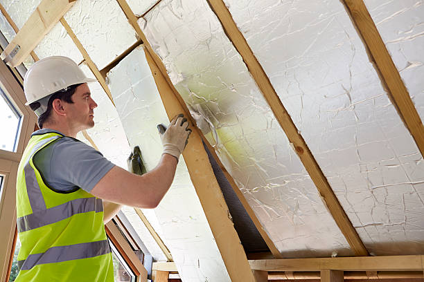 Best Specialized Insulation Services in Central City, IL