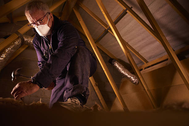 Trusted Central City, IL Insulation Contractor Experts