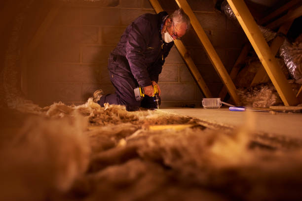 Best Eco-Friendly Insulation in Central City, IL